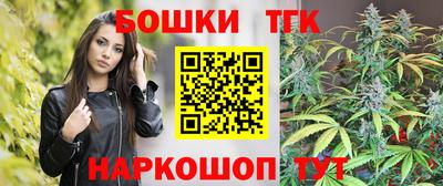 соль ск Сланцы
