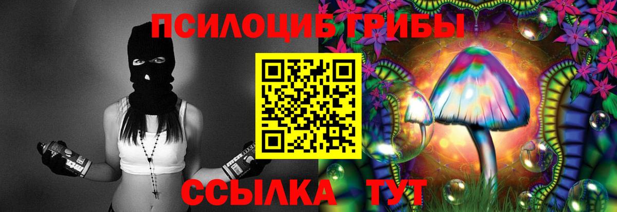 Псилоцибиновые грибы Psilocybine cubensis Симферополь
